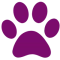 Logo Zampa Animali